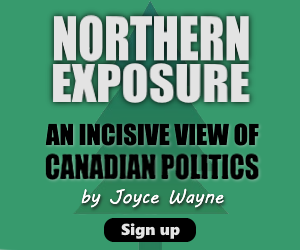 Ad for Northern Exposure newsletter.