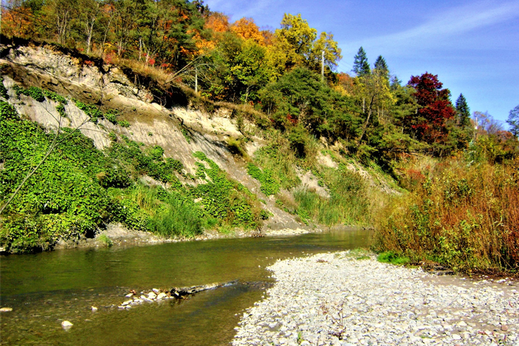 Photograph of a river in Rouge National Park.